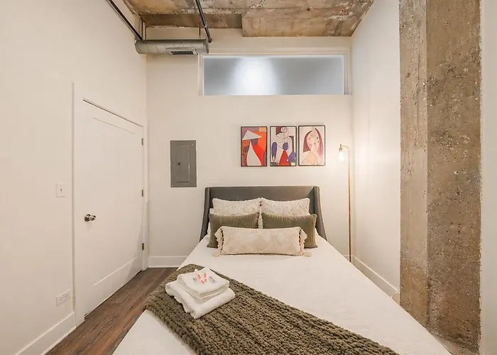 Spacious 2br On Michigan Ave With Private Patio, Optional Parking & Gym Near Mccormick Convention Center, Soldier Field And Grant Park Apartment Chicago
