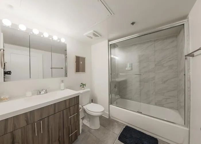Spacious 2br On Michigan Ave With Private Patio, Optional Parking & Gym Near Mccormick Convention Center, Soldier Field And Grant Park Chicago